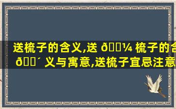 送梳子的含义,送 🌼 梳子的含 🐴 义与寓意,送梳子宜忌注意事项